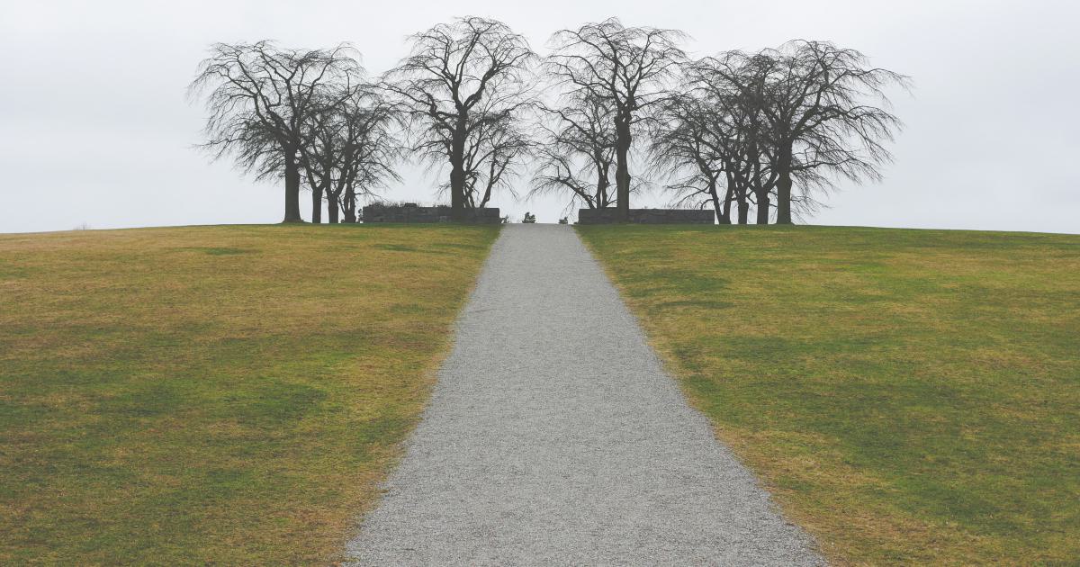 Guest Posting or Private Blog Networks: Which Builds Better Backlinks?
