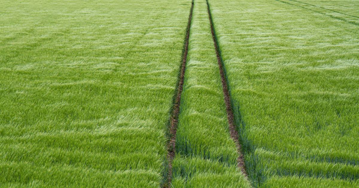 Link Velocity or Link Quality: Which Matters More?