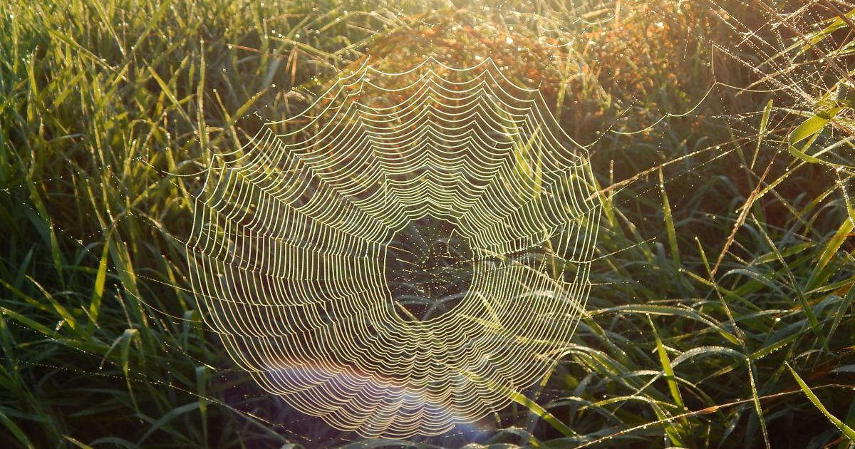 Core Web Vitals