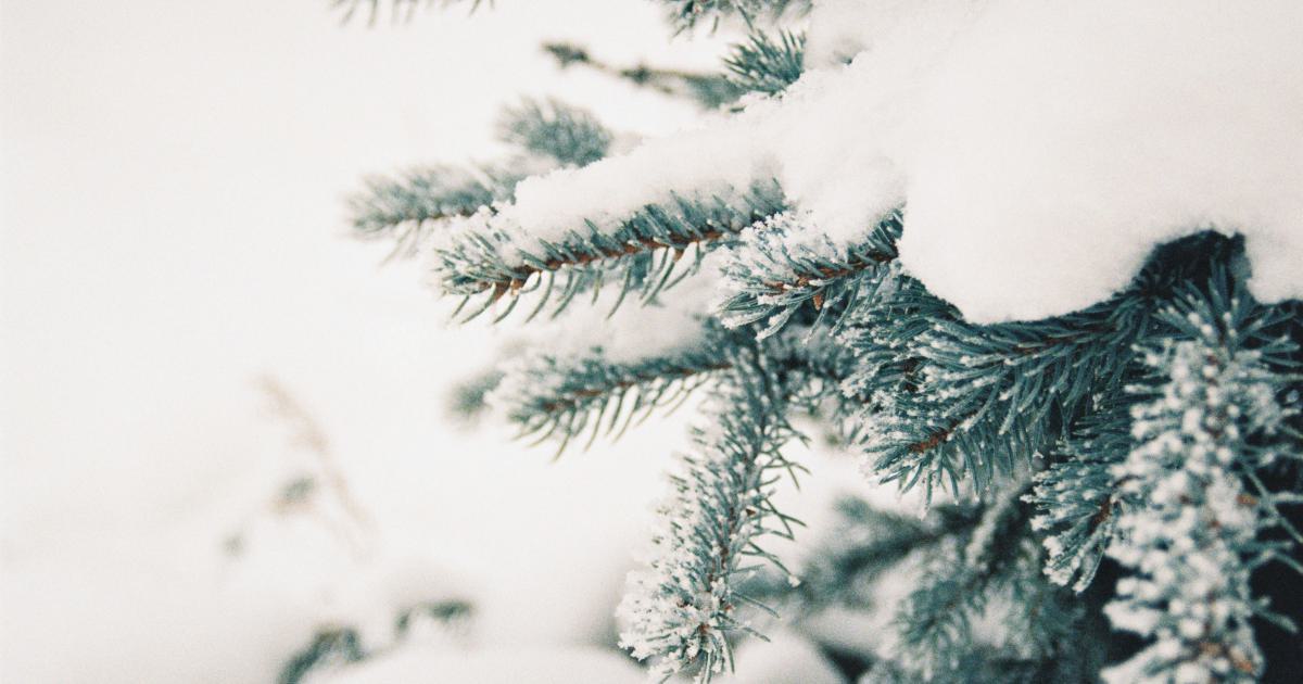 Seasonal Trends