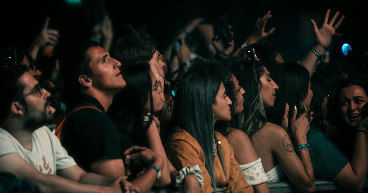 Audience Engagement Patterns