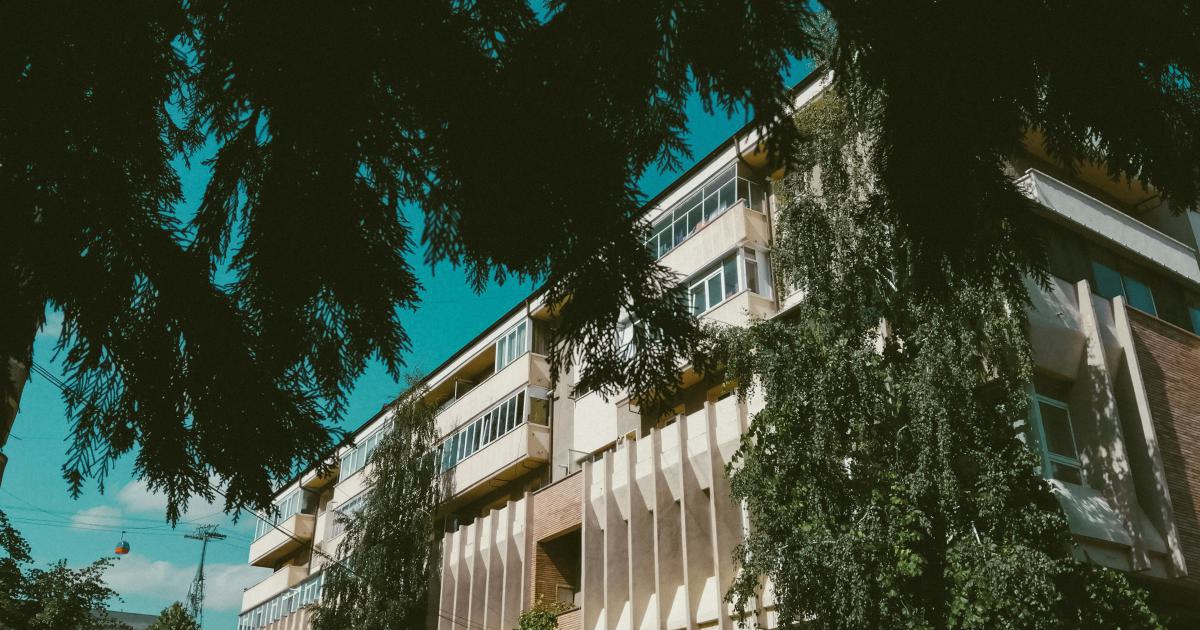 Citation Building