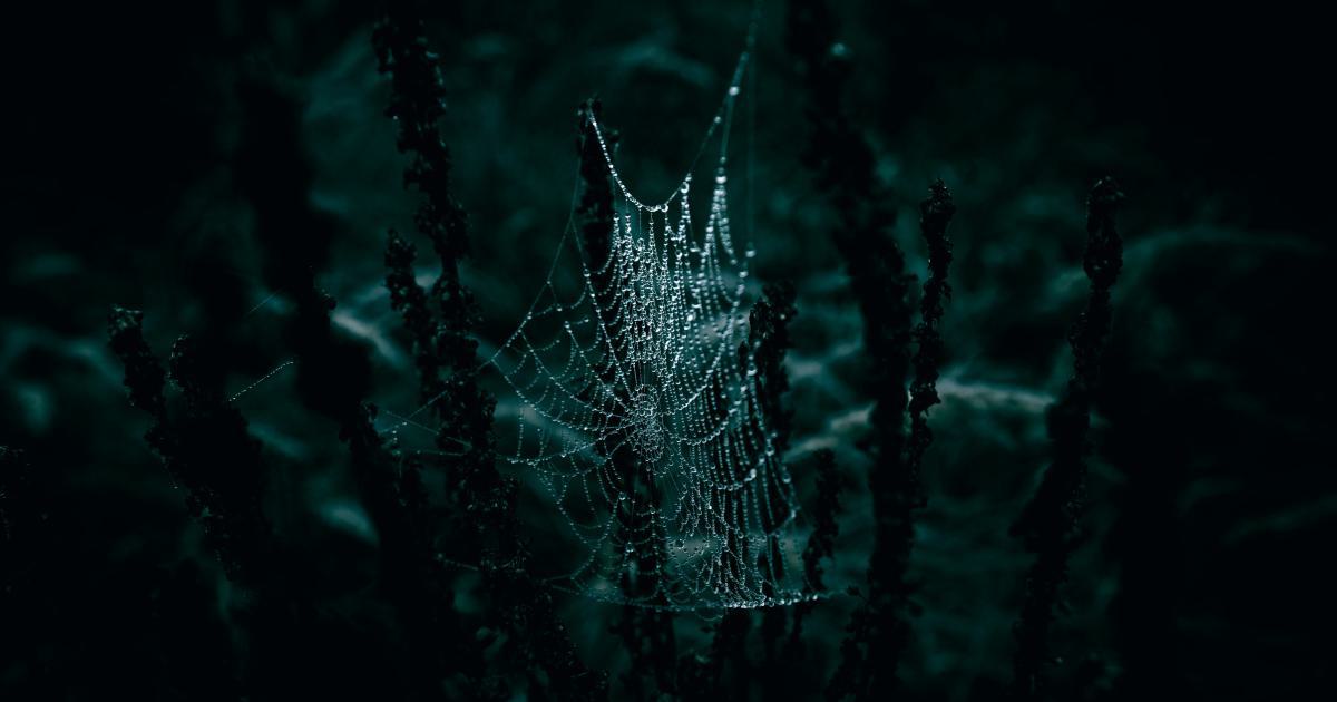 Exploring the Web