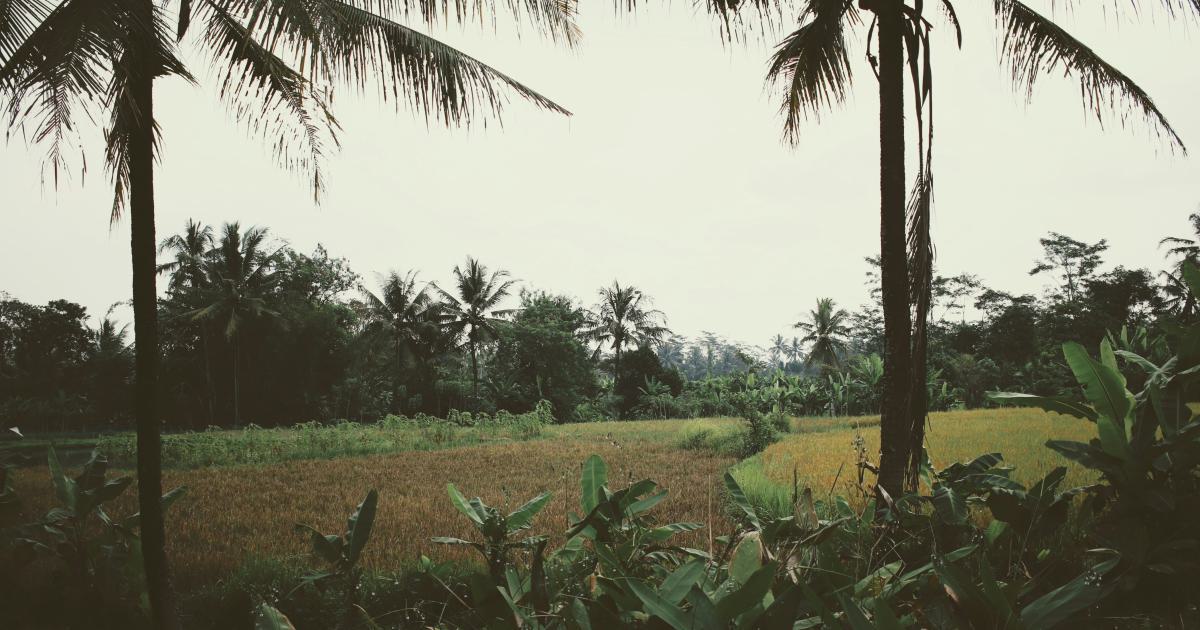 Local Blog Contribution