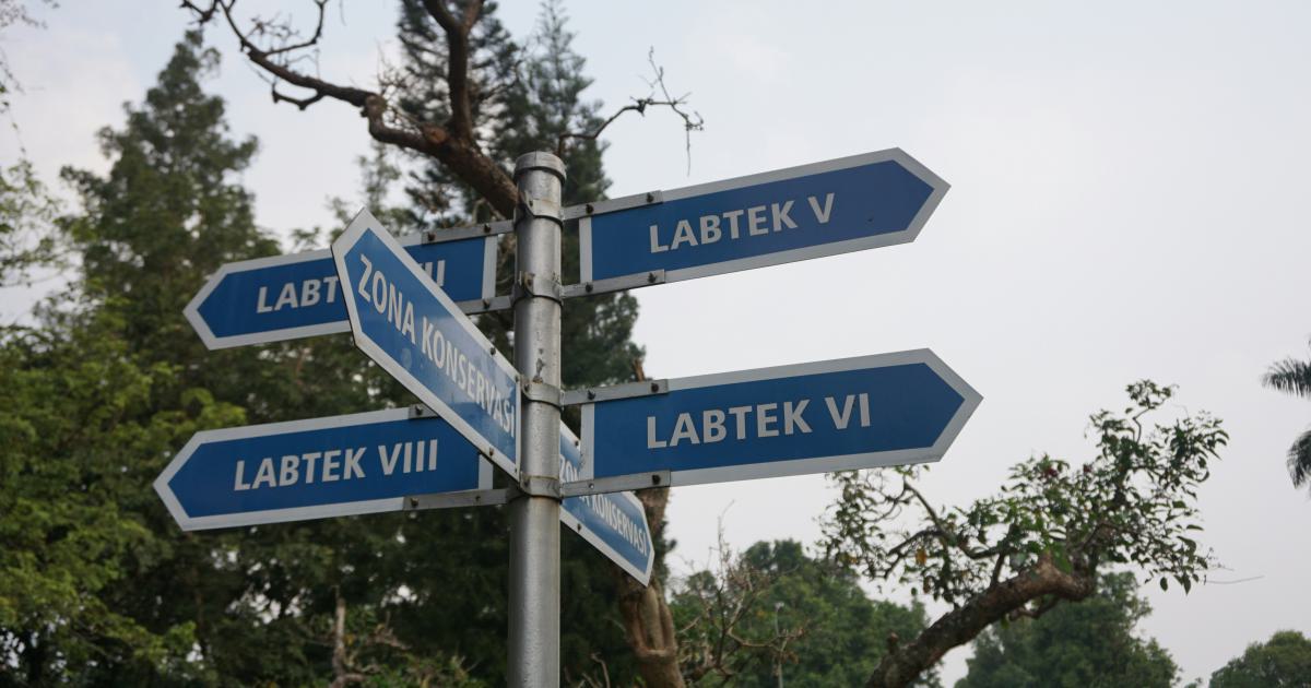 Local Ranking and Citation Tracking