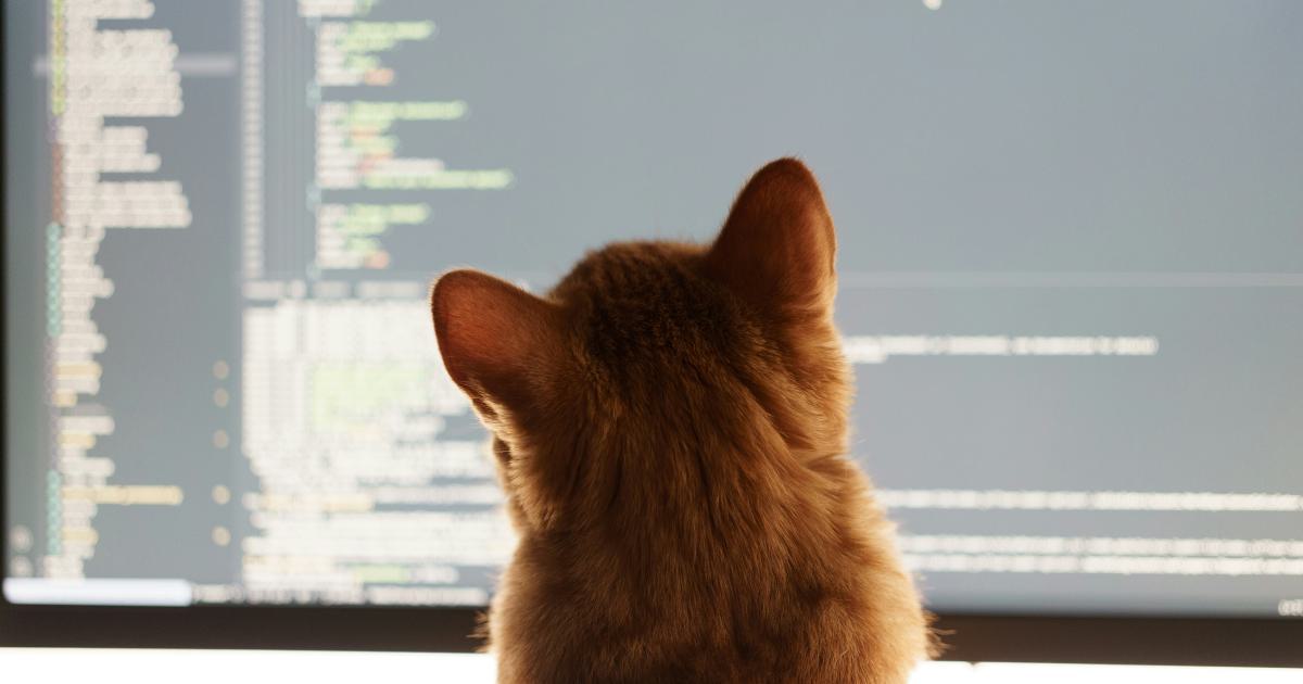 Sharing Visualizations Created with a Programming Language