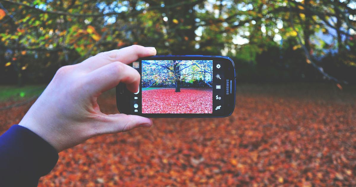 Rapid Changes in Digital Landscape