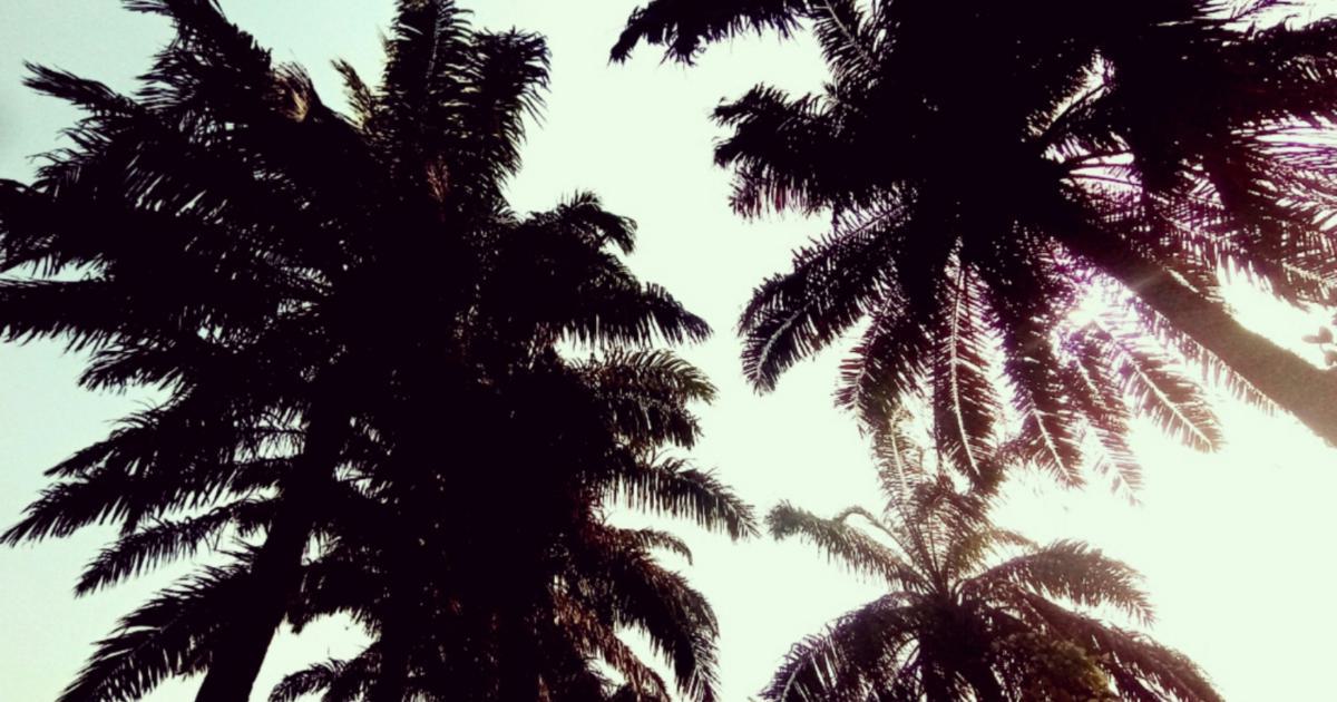 Geotag Example