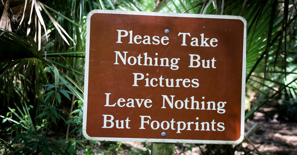 Supportive Environment