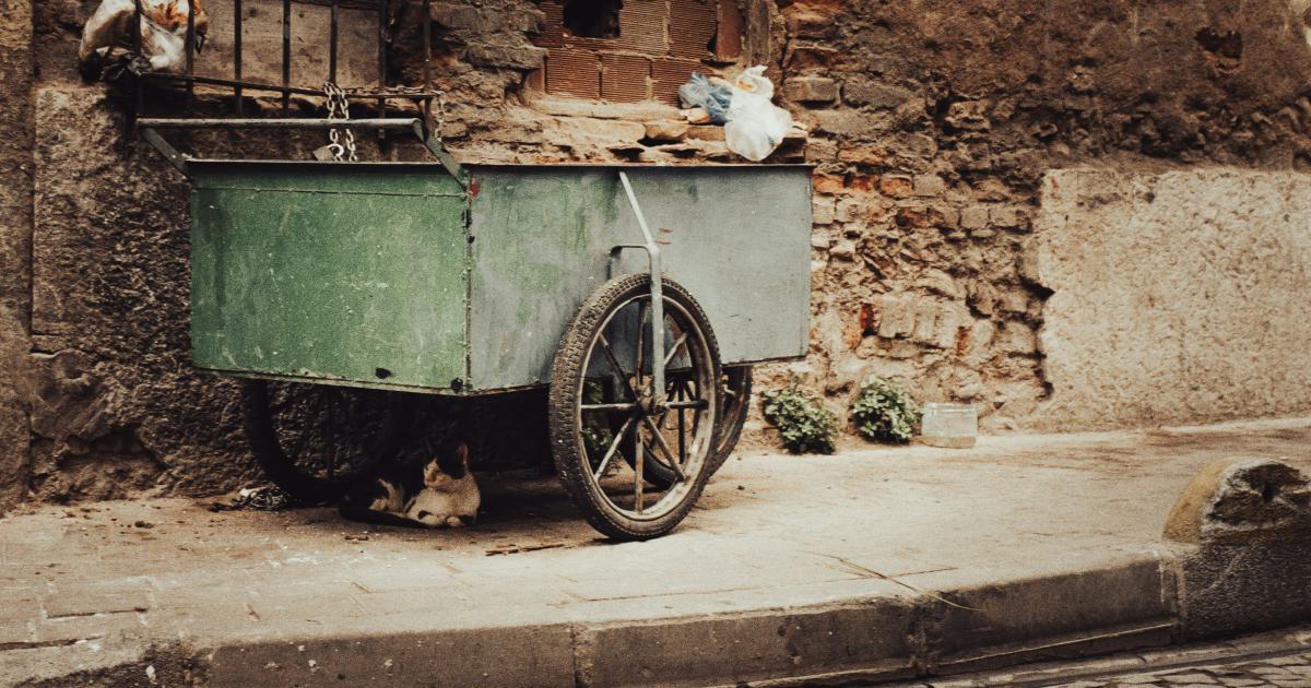 Abandoned Cart Recovery Email