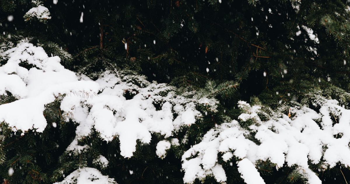Analyzing Seasonal and Trending Keywords