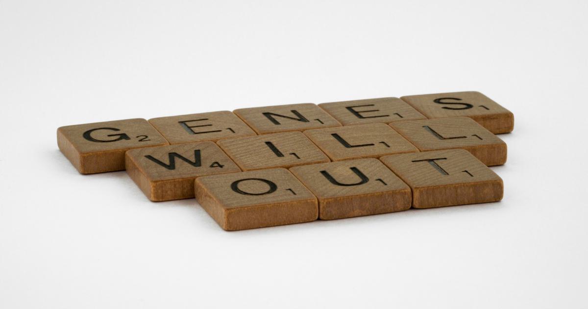 Building Relationships and Outreach
