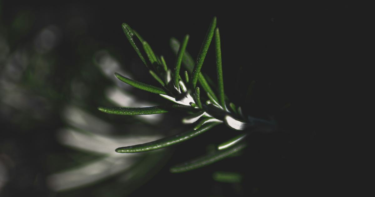 JavaScript Crawling Interaction Illustration