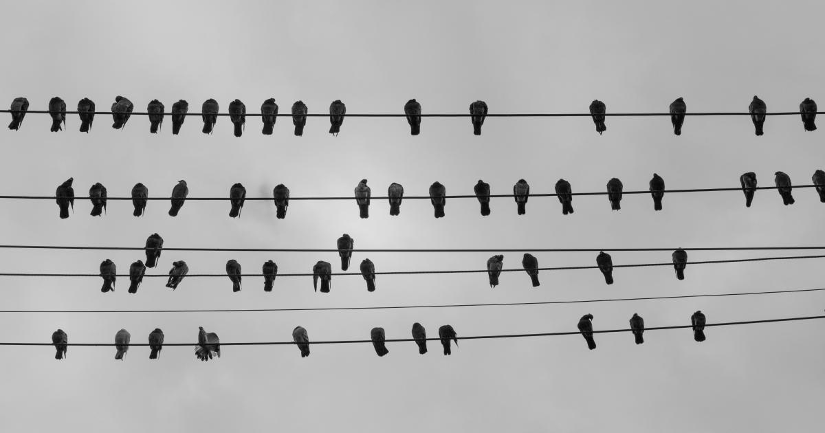 Hierarchical Internal Linking Structure