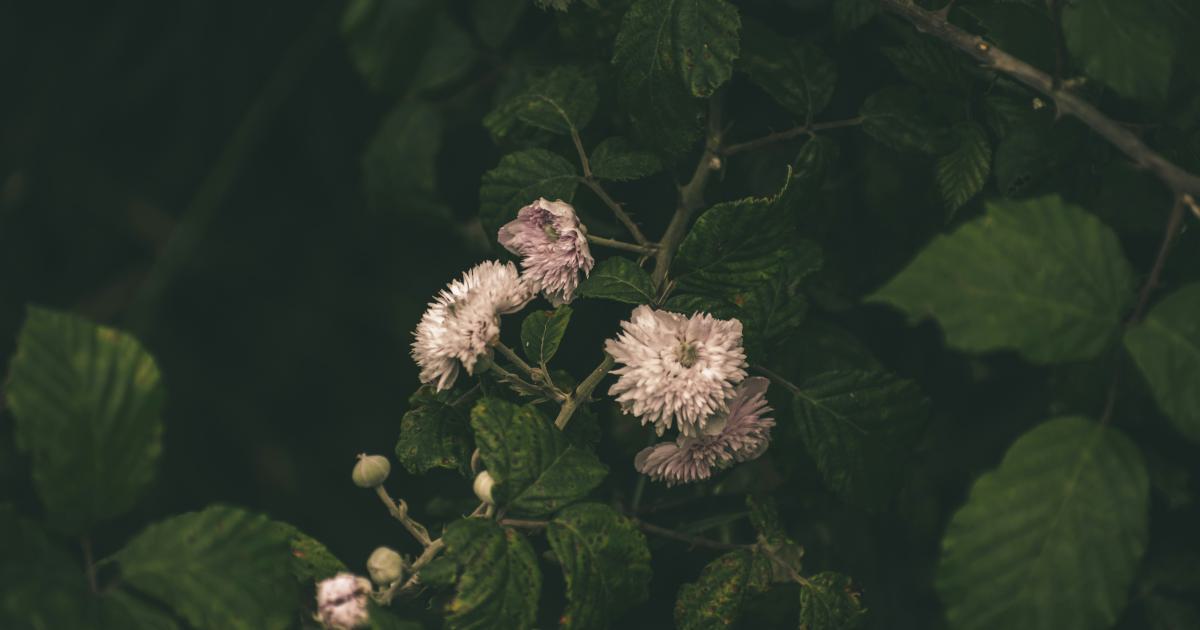 In-Depth Content Example