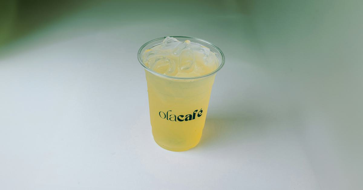 Lemonade's Social Impact Initiatives