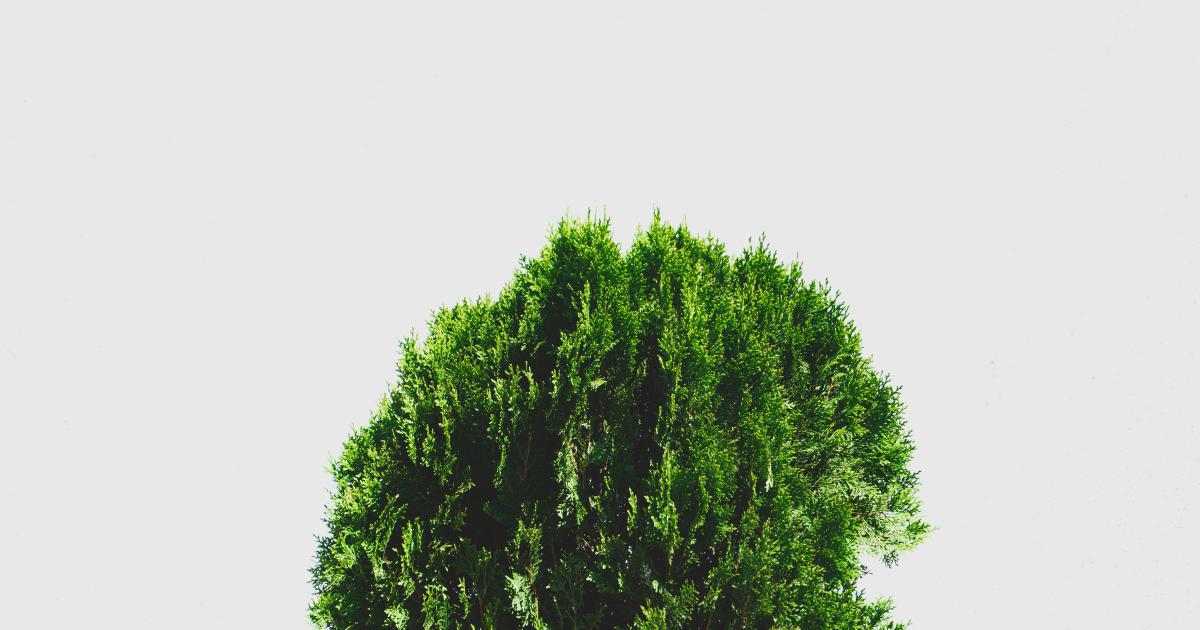 Unlock Evergreen Content Gold With These Timeless Topics