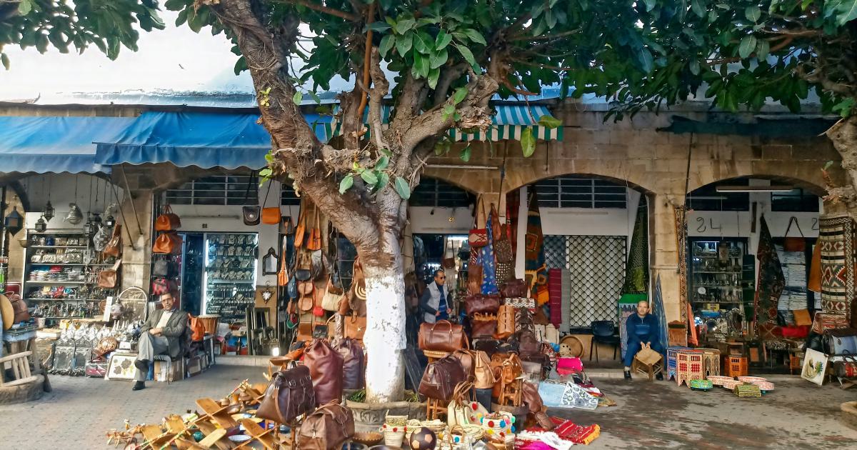 Successful Local Business Owner
