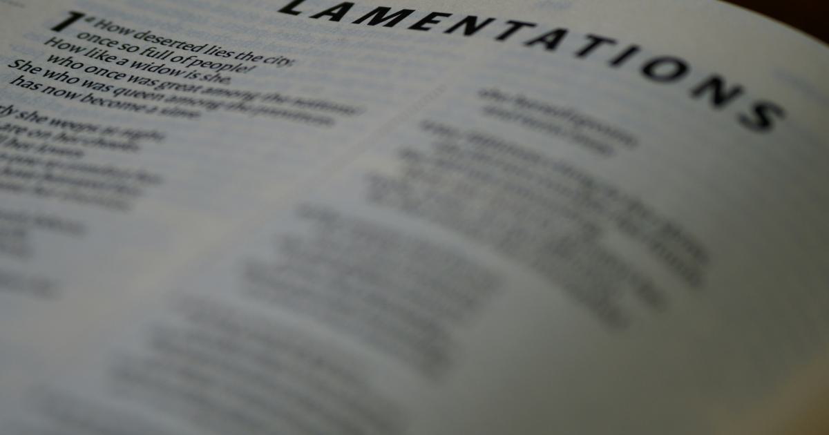 Local Citations Example