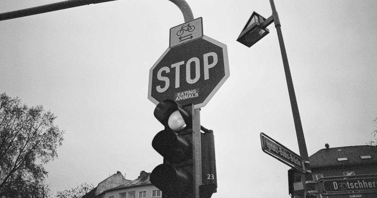 Visual Cues and Signposts