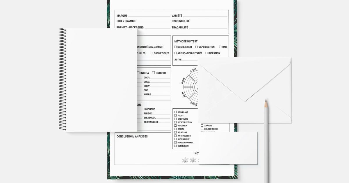 Schema Markup and Structured Data