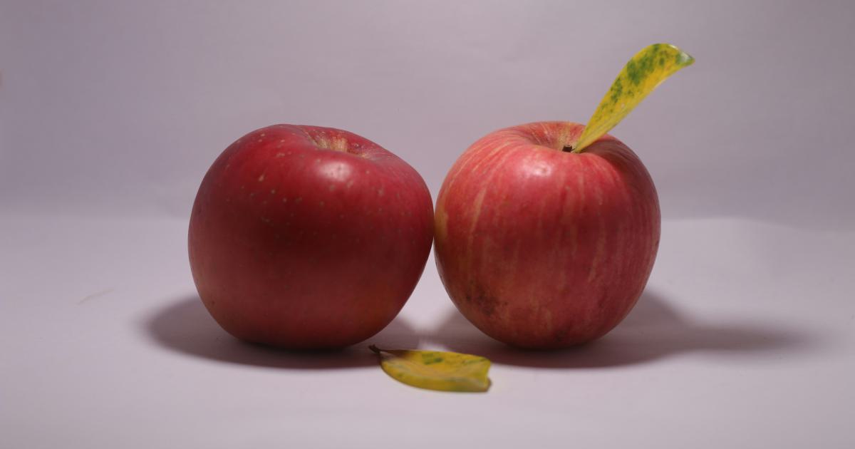 Direct vs. Organic Search