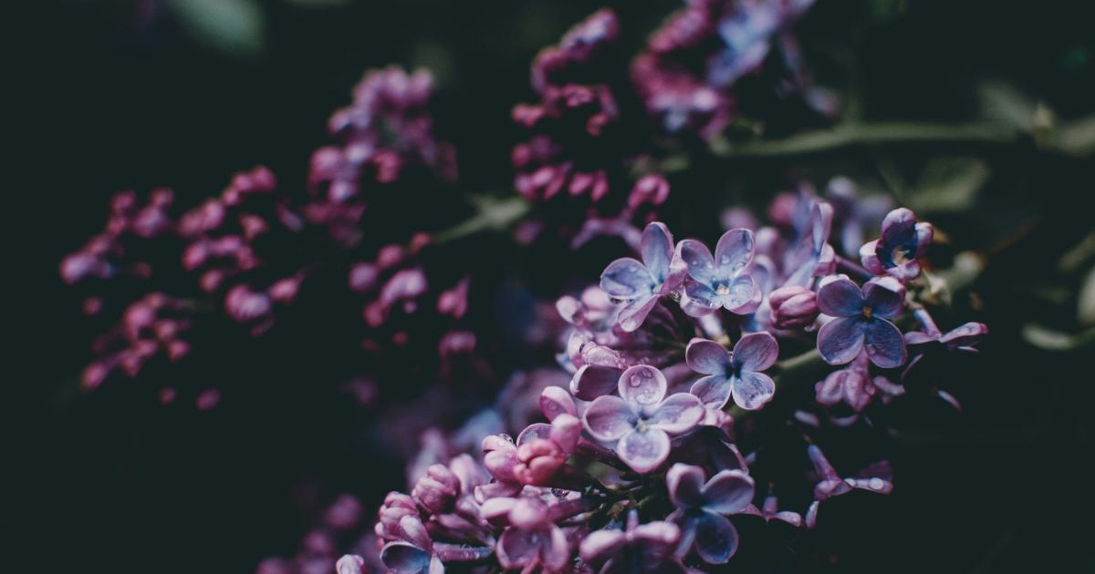 Revamped Blog Post