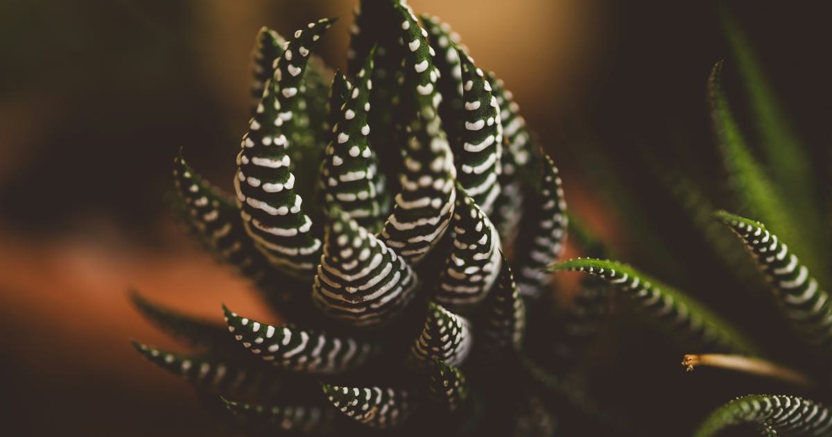 Continuous Evolution