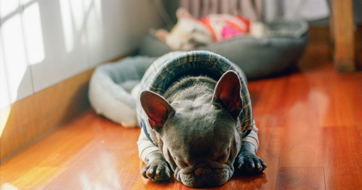 Consistent NAP