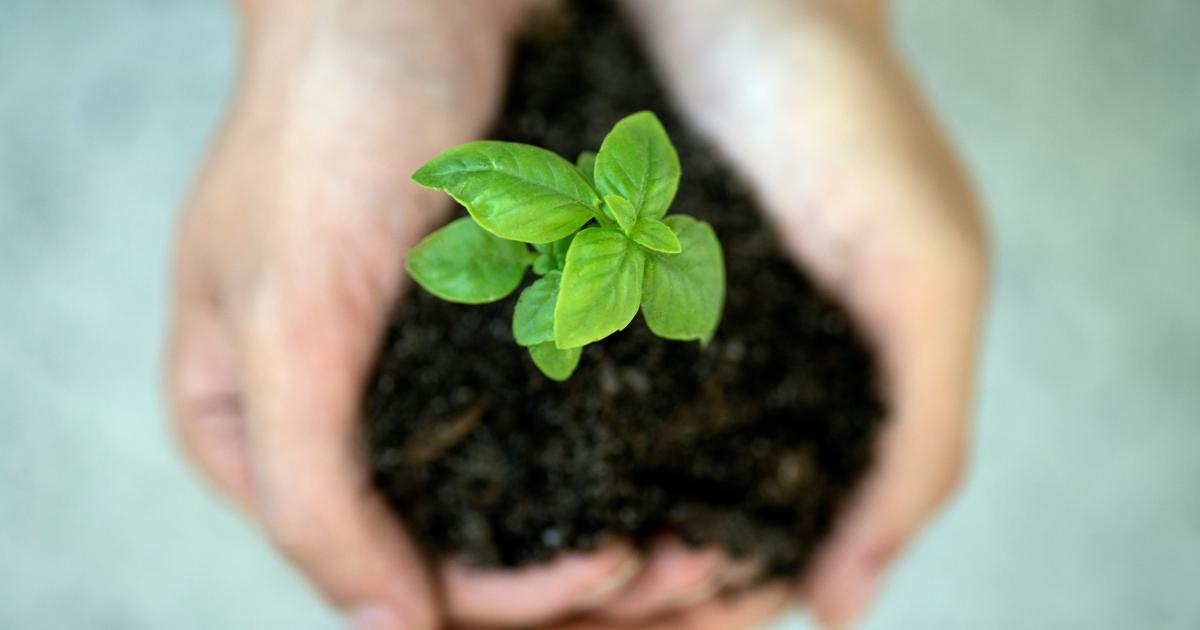 Lead Nurturing Campaigns