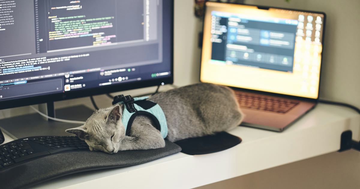 Developers working on a laptop