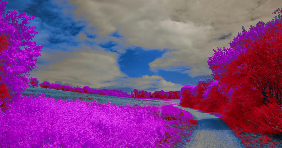 Unlocking the Secrets of Image Optimization Metrics