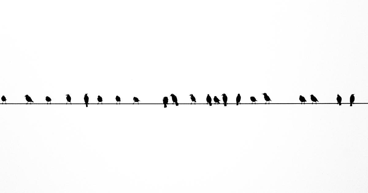 Bounce Rate Visualization