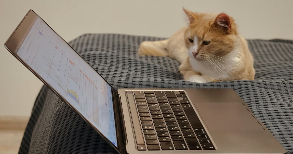 User Searching on Laptop