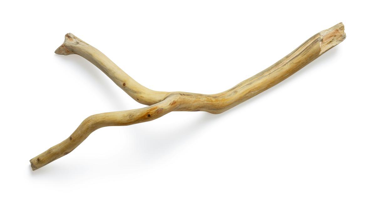 Revealed: High-Conversion Long-Tail Keywords for Beginners