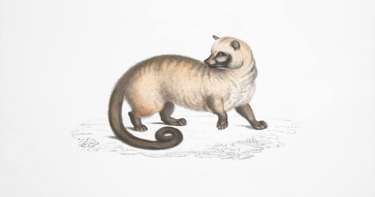 Exploring the Long Tail