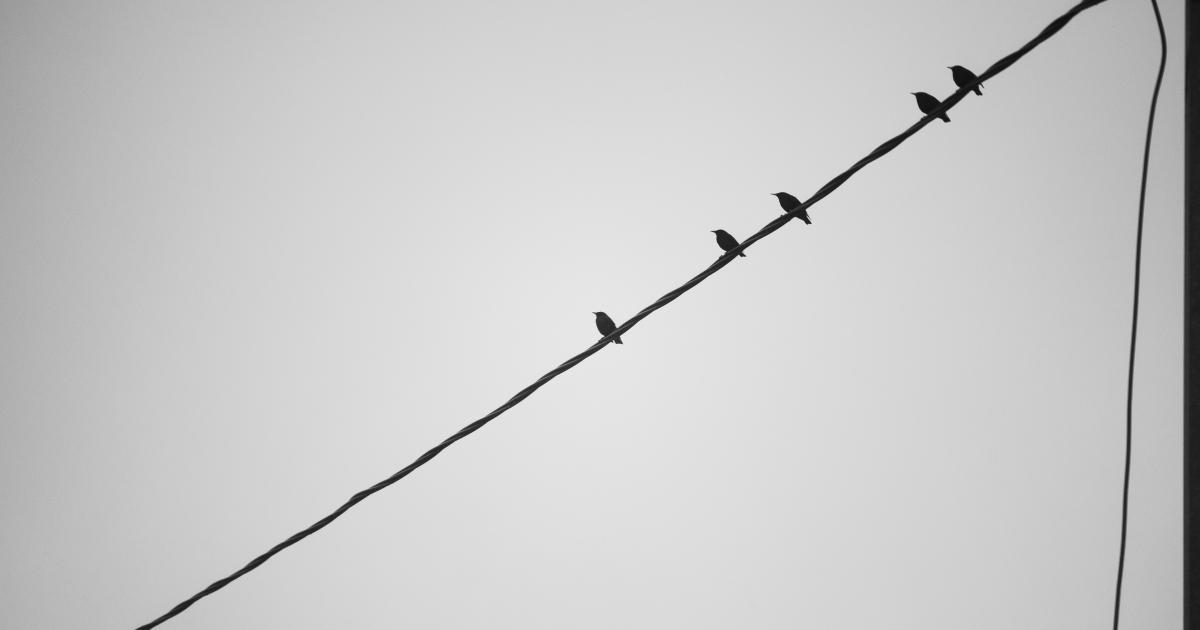Branded Long-Tail Keyword Amplification Tactics