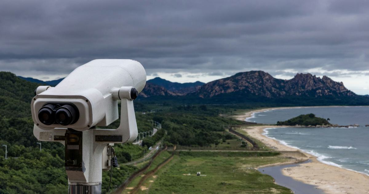 Automated Backlink Monitoring
