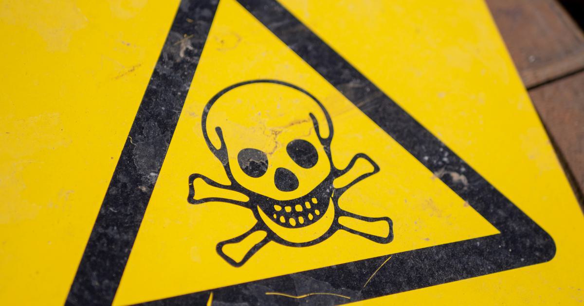 Monitoring and Addressing Toxic Backlinks