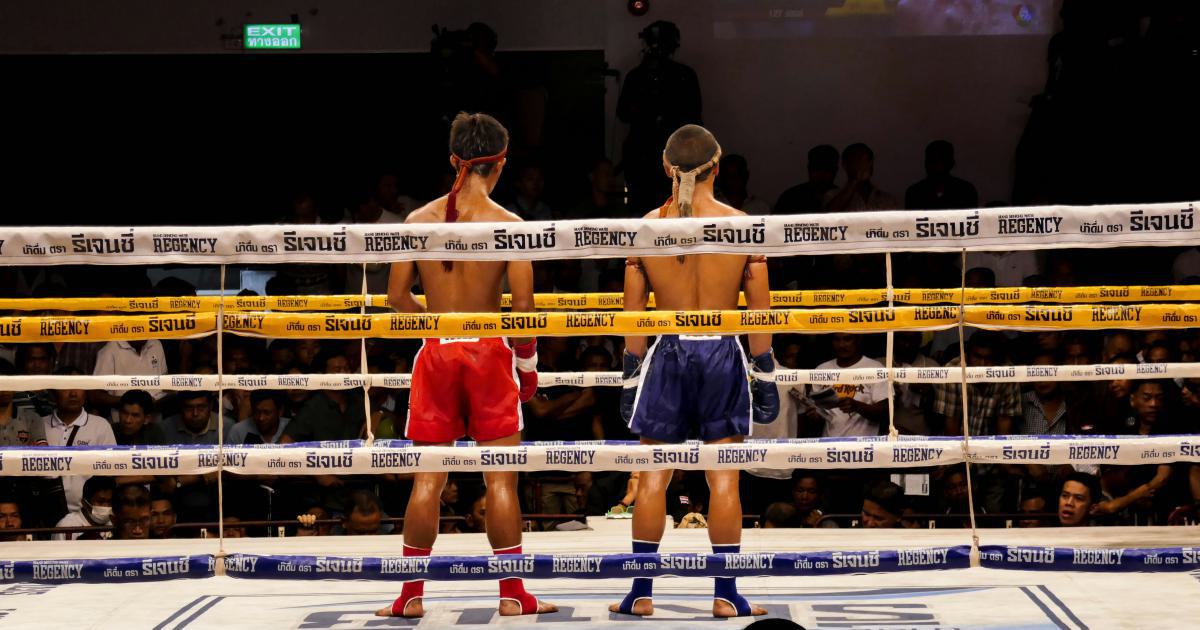 Competitor Backlink Comparison