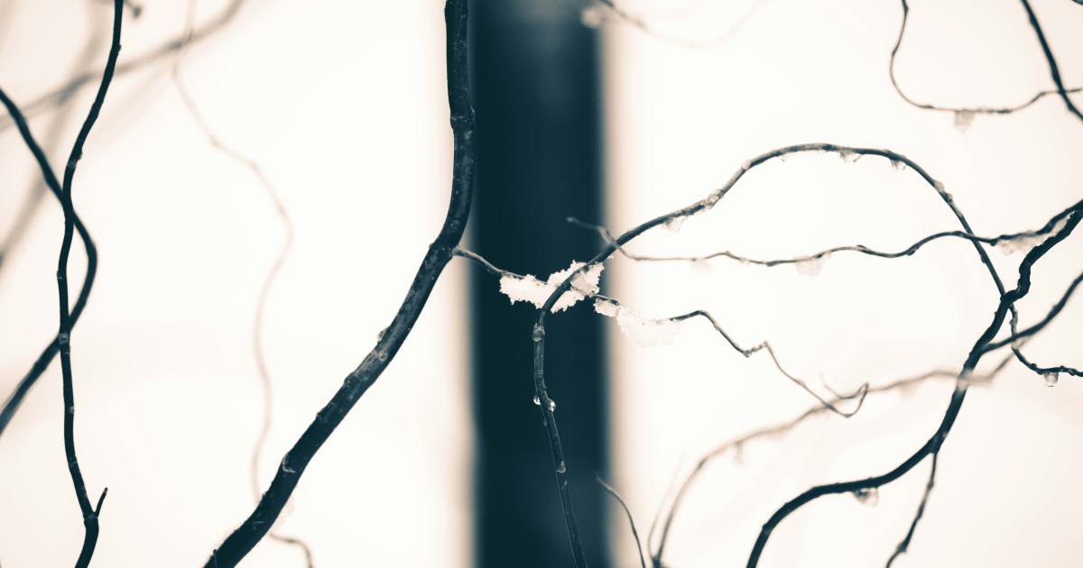 Stemming Algorithm Illustration