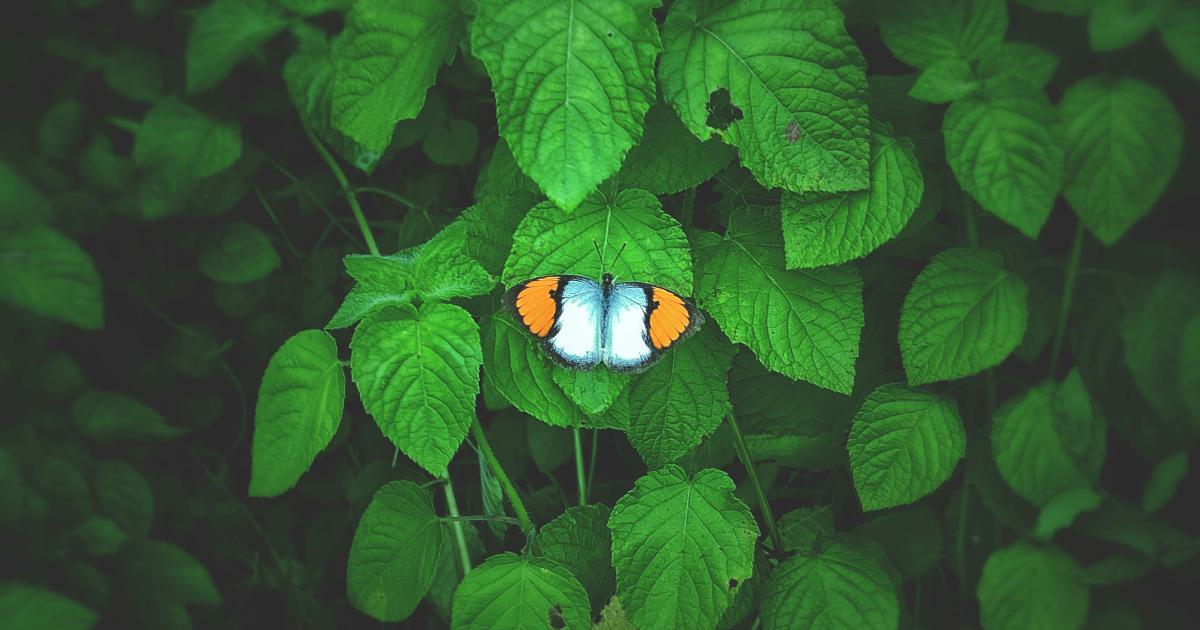 Unlocking Hidden Opportunities