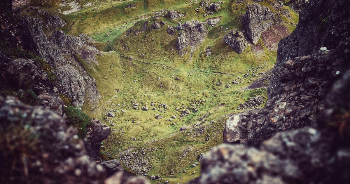 Guest posting landscape factors