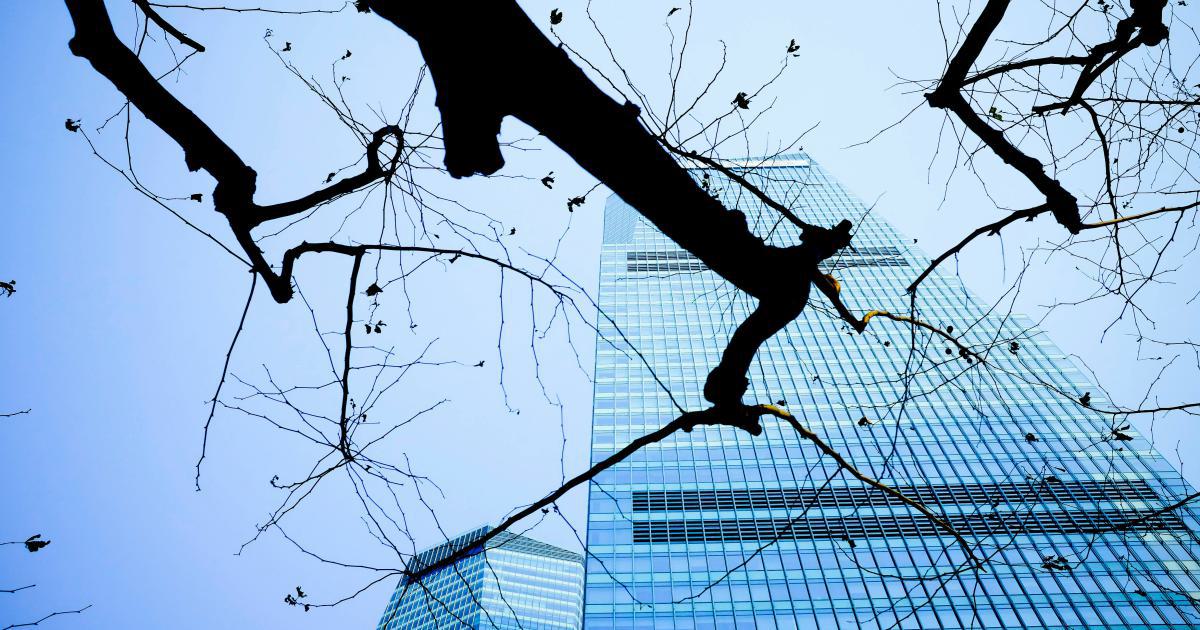Practical Applications of Competitor Backlink Analysis