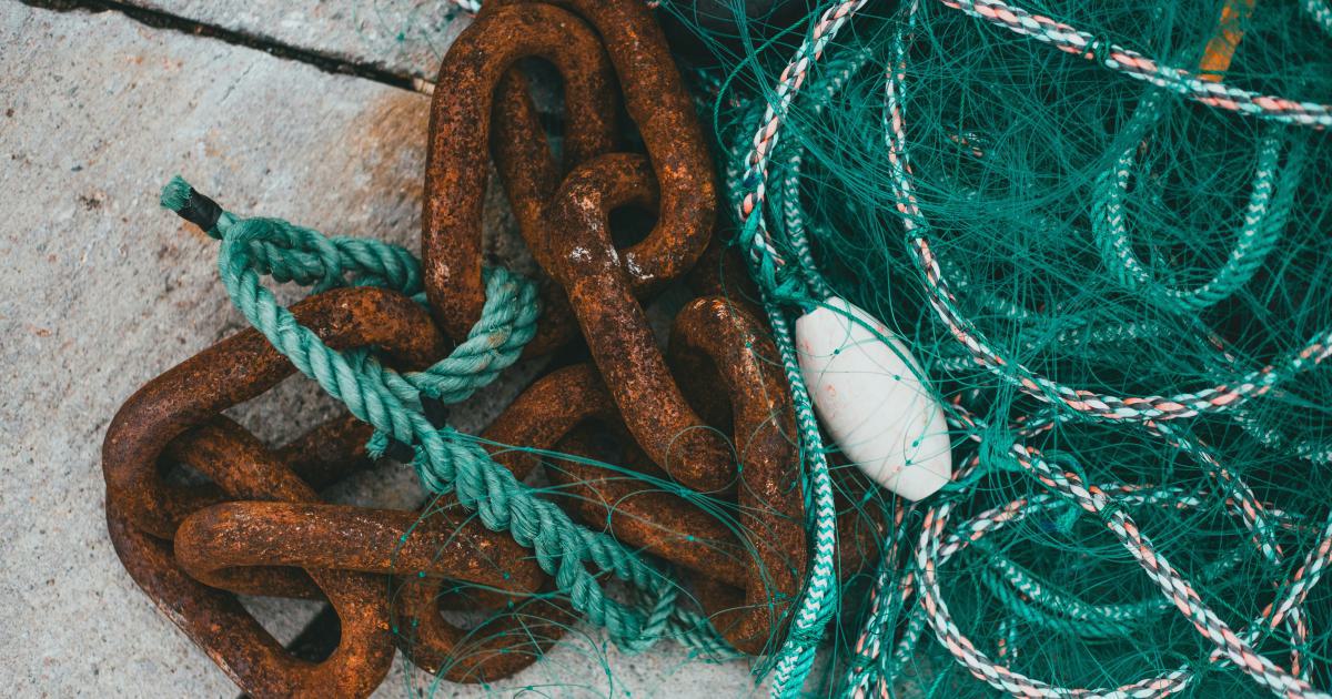 Case Study 2: Diversifying Anchor Text