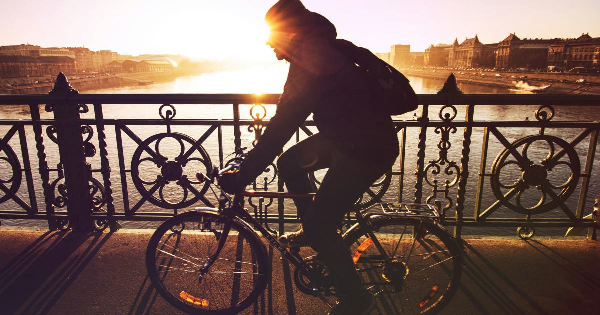 Building a Healthy Backlink Profile