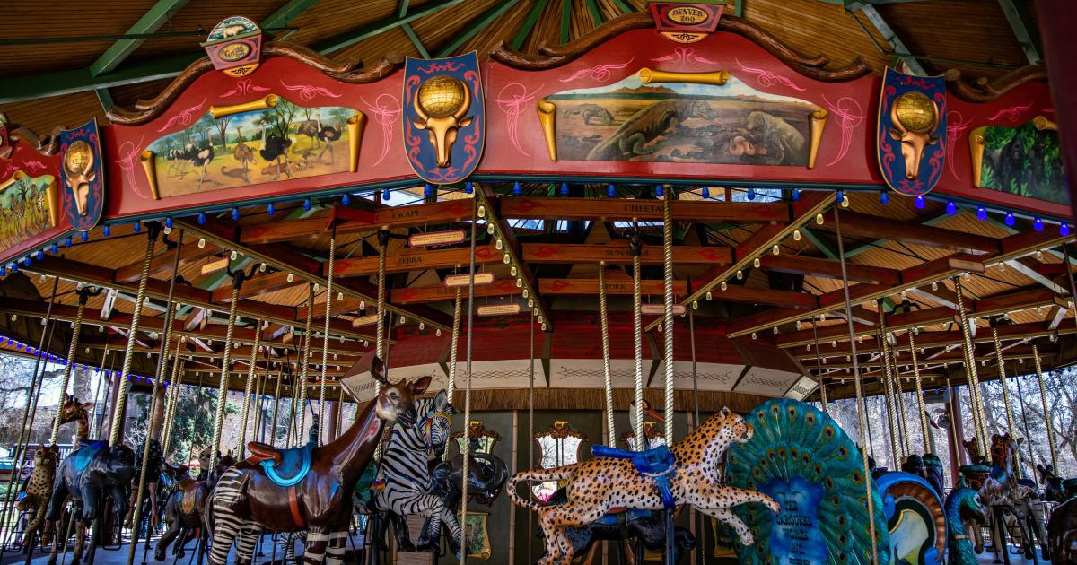 High-Quality Carousel Items