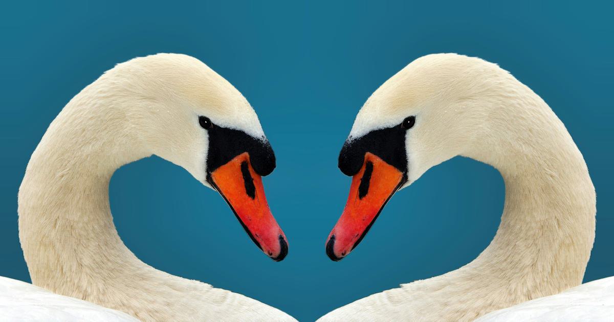 Headless Browser Comparison
