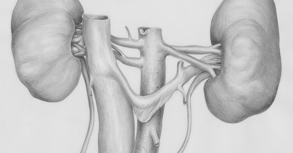 Anatomy of a URL