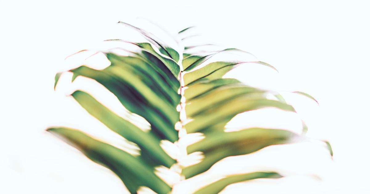 Progressive Enhancement and Fallbacks